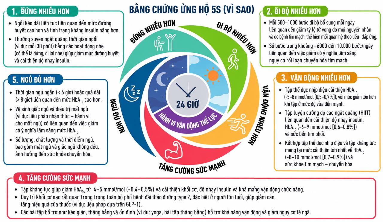 Bài tập 12 phút tại nhà giúp giảm huyết áp tới 7 điểm