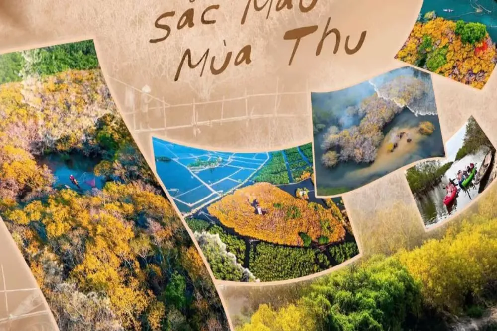 Hai cuộc thi ảnh khu vực: mùa thu Rú Chá và vẻ đẹp Đất Mũi