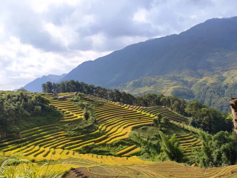 Từ Tú Lệ đến Sa Pa: Tuyến di sản ruộng bậc thang Tây Bắc