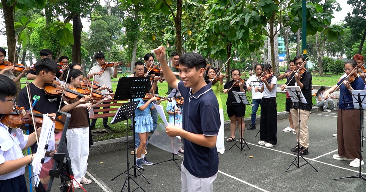 10 năm lớp violin miễn phí giữa công viên: một phong trào âm nhạc cộng đồng