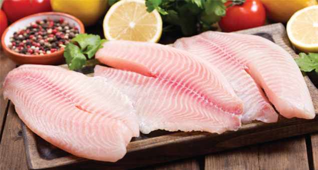 Cá rô phi và cá quá: lựa chọn cá bình dân giàu protein
