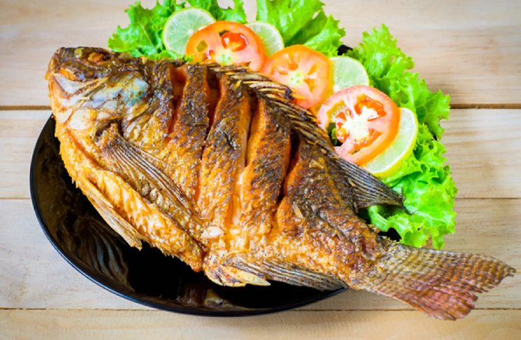 Cá rô phi và cá quá: lựa chọn cá bình dân giàu protein