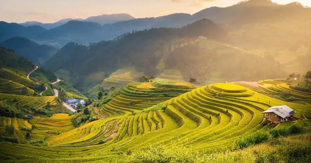 Ghi lại vẻ đẹp ruộng bậc thang mùa vàng: Thời điểm, ánh sáng và điểm đến lý tưởng