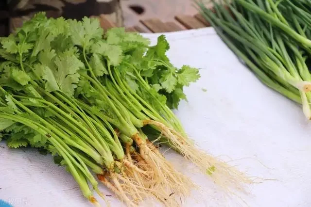 Lá chanh, rau mùi và lá chuối: bí quyết giữ tươi để nâng tầm món Việt