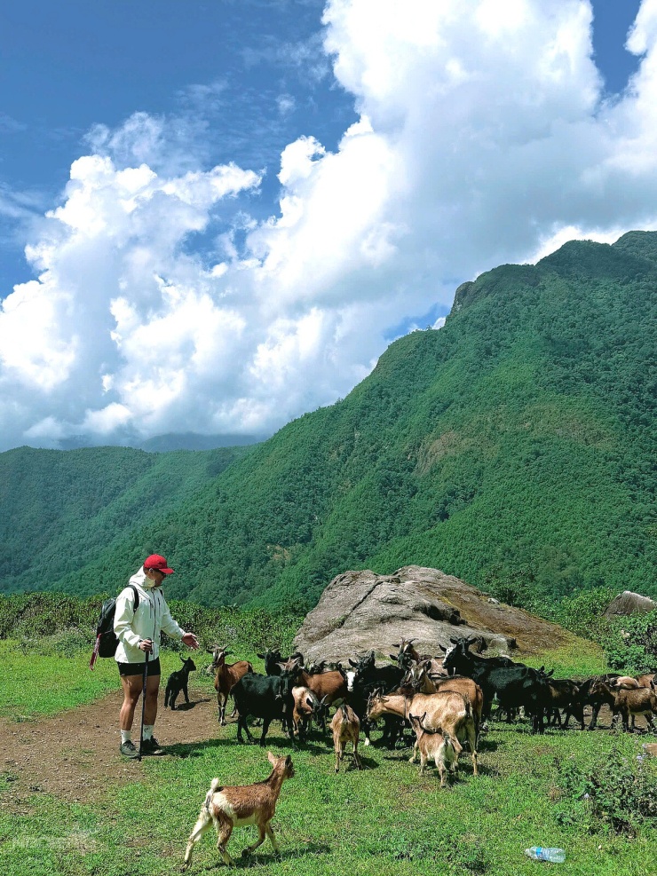 Đường đá cổ Pavie: di sản giao thương hóa cung trail Tây Bắc
