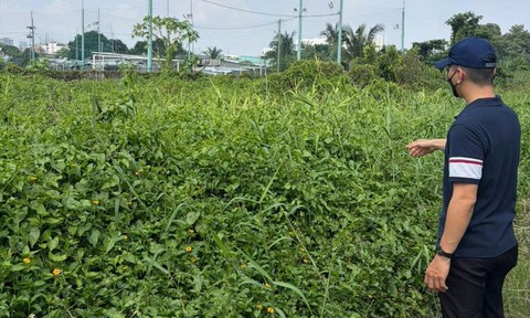 TP.HCM và vòng luẩn quẩn chậm trễ trong dự án bất động sản
