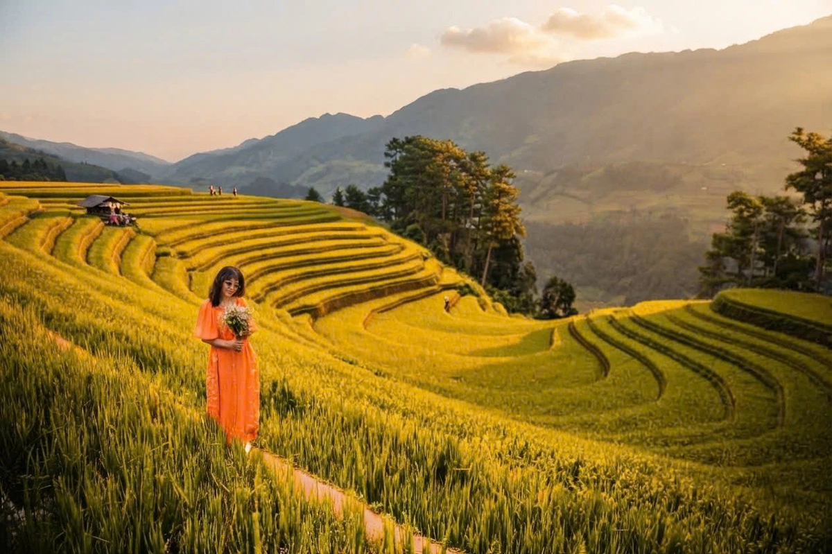 Ghi lại vẻ đẹp ruộng bậc thang mùa vàng: Thời điểm, ánh sáng và điểm đến lý tưởng