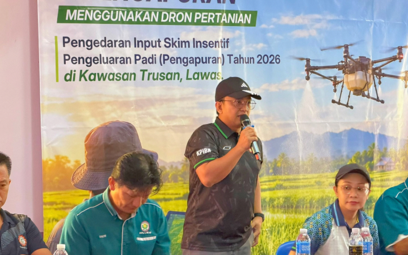 Dron Pertanian Udara Ubah Pemulihan Tanah dan Hasil Padi
