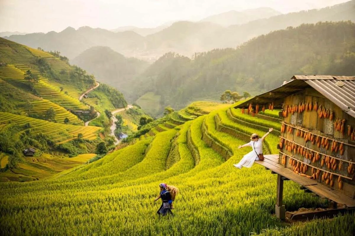 Ghi lại vẻ đẹp ruộng bậc thang mùa vàng: Thời điểm, ánh sáng và điểm đến lý tưởng