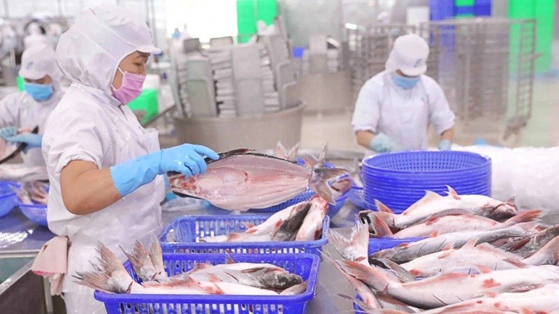 Xuất khẩu tôm đối mặt thuế Mỹ bổ sung, doanh thu lao dốc