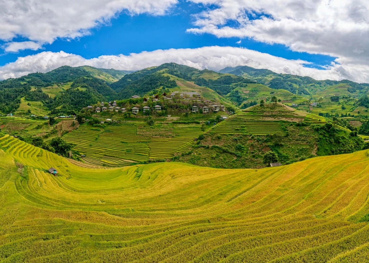 Ghi lại vẻ đẹp ruộng bậc thang mùa vàng: Thời điểm, ánh sáng và điểm đến lý tưởng