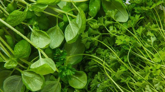 Cải xoong: rau lá xanh tốt nhất đang bị chúng ta lãng quên