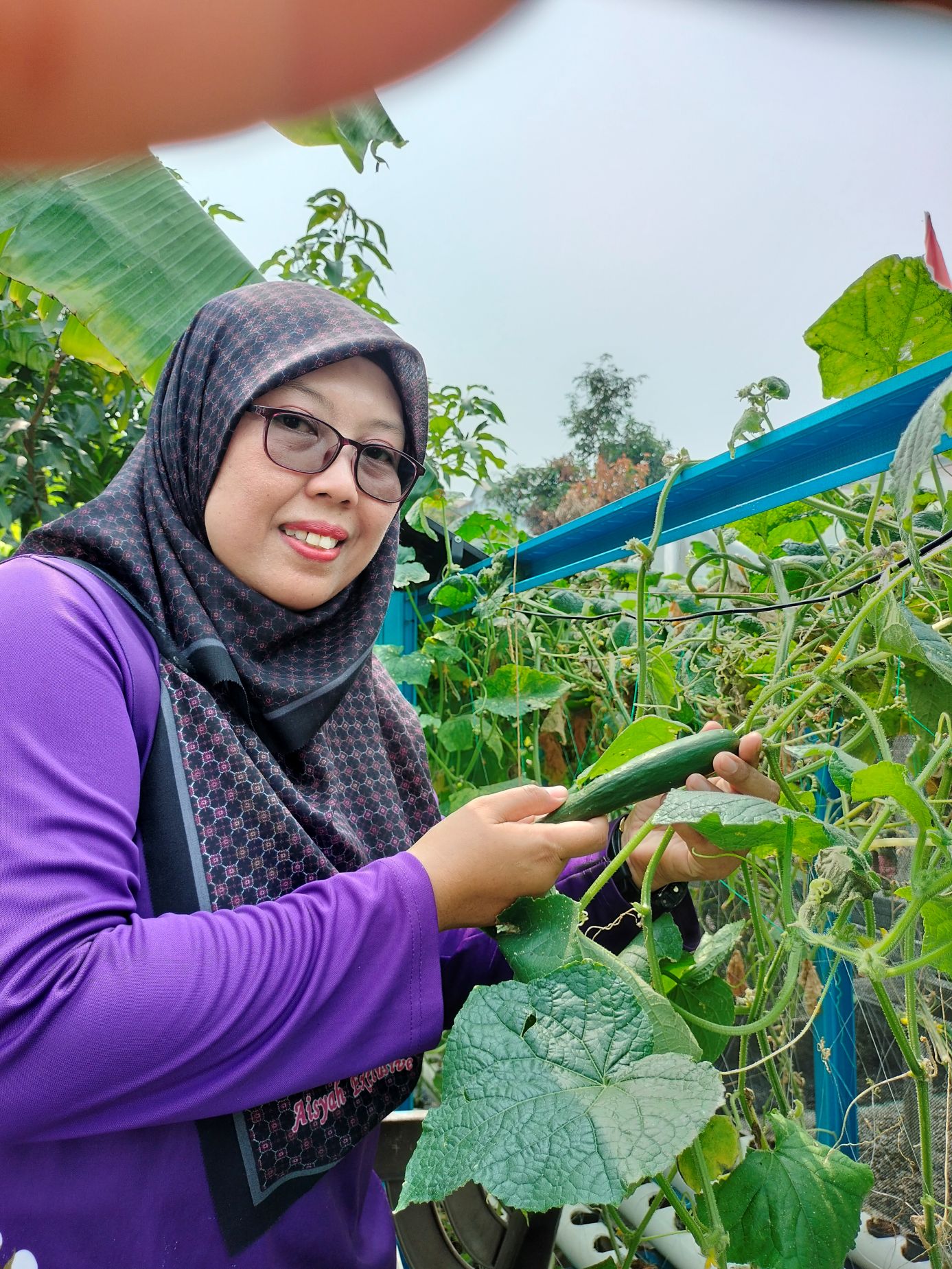 Terapi Kebun Komuniti: Penawar Senyap Kemurungan dan Pengikat Keluarga