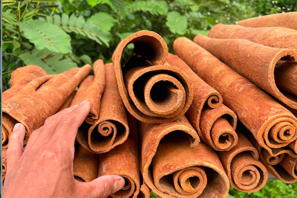 Bỏ bữa sáng để gan ‘nghỉ’ là hiểu lầm sinh lý nguy hiểm