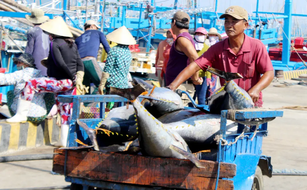 Việt Nam xây dựng kinh tế biển đa tầng: từ khát vọng đến lộ trình hành động