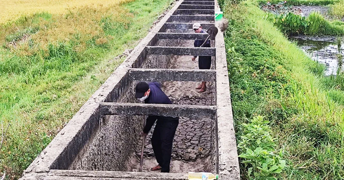 El Niño cực mạnh: Cú sốc hạn hán và xâm nhập mặn cho nông nghiệp Đông Nam Á