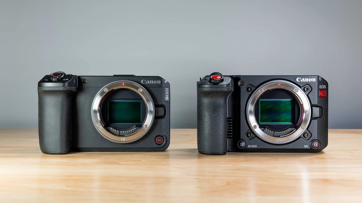 Canon EOS R50 V và R6 V: Máy ảnh nào cho content creator?