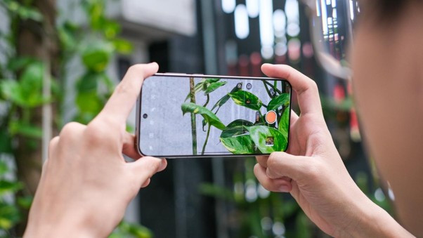 Hệ thống camera Hasselblad trên OPPO Find X8 và Find X10: bước tiến của nhiếp ảnh di động cao cấp