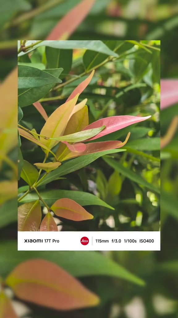 Gambar sampel telephoto Xiaomi 17T Pro: daun hijau dan merah muda yang tajam dirakam pada 115mm f/3.0, dengan bar watermark Leica di bawah