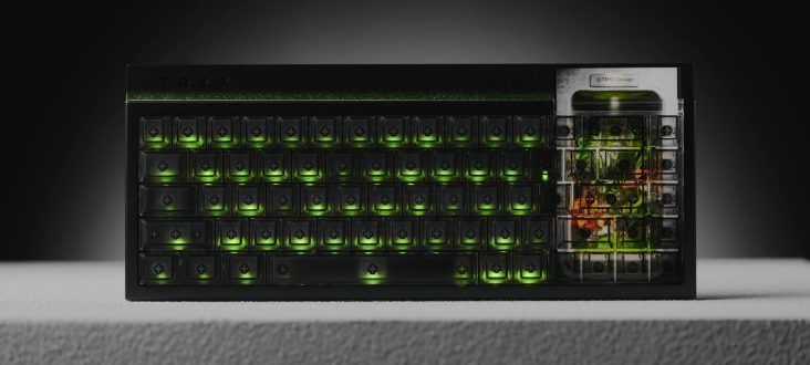 Bàn phím cơ gaming: 8KHz, OLED, switch từ tính – xu hướng nào đáng tiền?