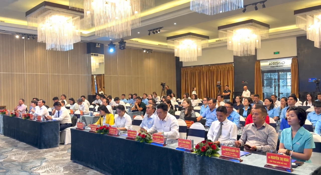 Nha Trang Night Run: Đêm chạy ven biển cho cộng đồng và môi trường