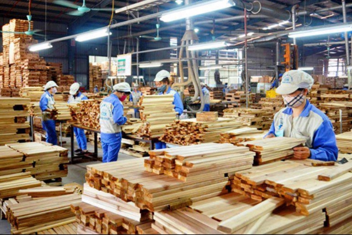 Thị trường gỗ nội địa: động lực mới cho tăng trưởng ngành gỗ