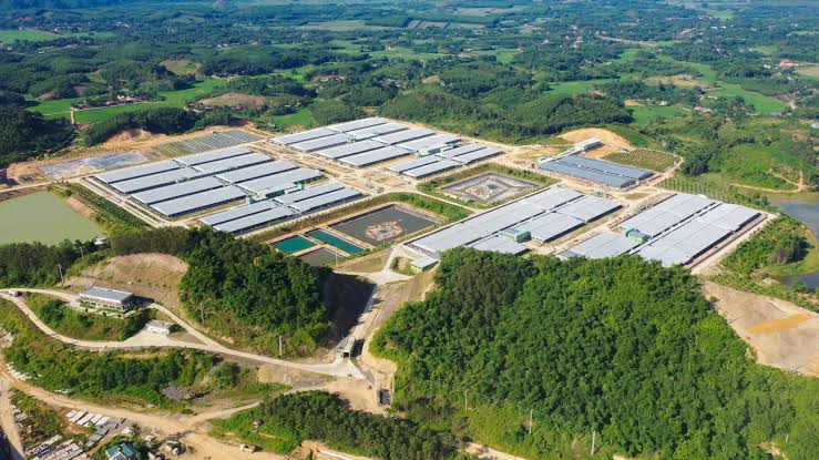 Dự án điện mặt trời 1.000 MW Ia Rvê: bước leo thang mới của Xuân Thiện ở Tây Nguyên