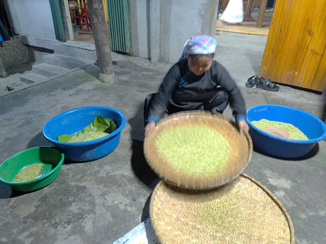 Chè Shan Tuyết và ruộng bậc thang: Đường mới cho du lịch cộng đồng Lào Cai
