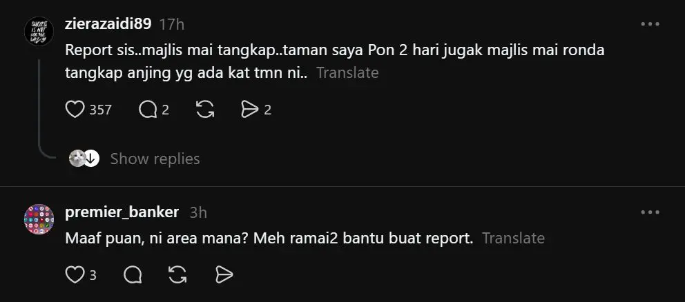 Bila Anjing Liar Menyerang: Amaran Serius Untuk Ibu Bapa di Kawasan Perumahan