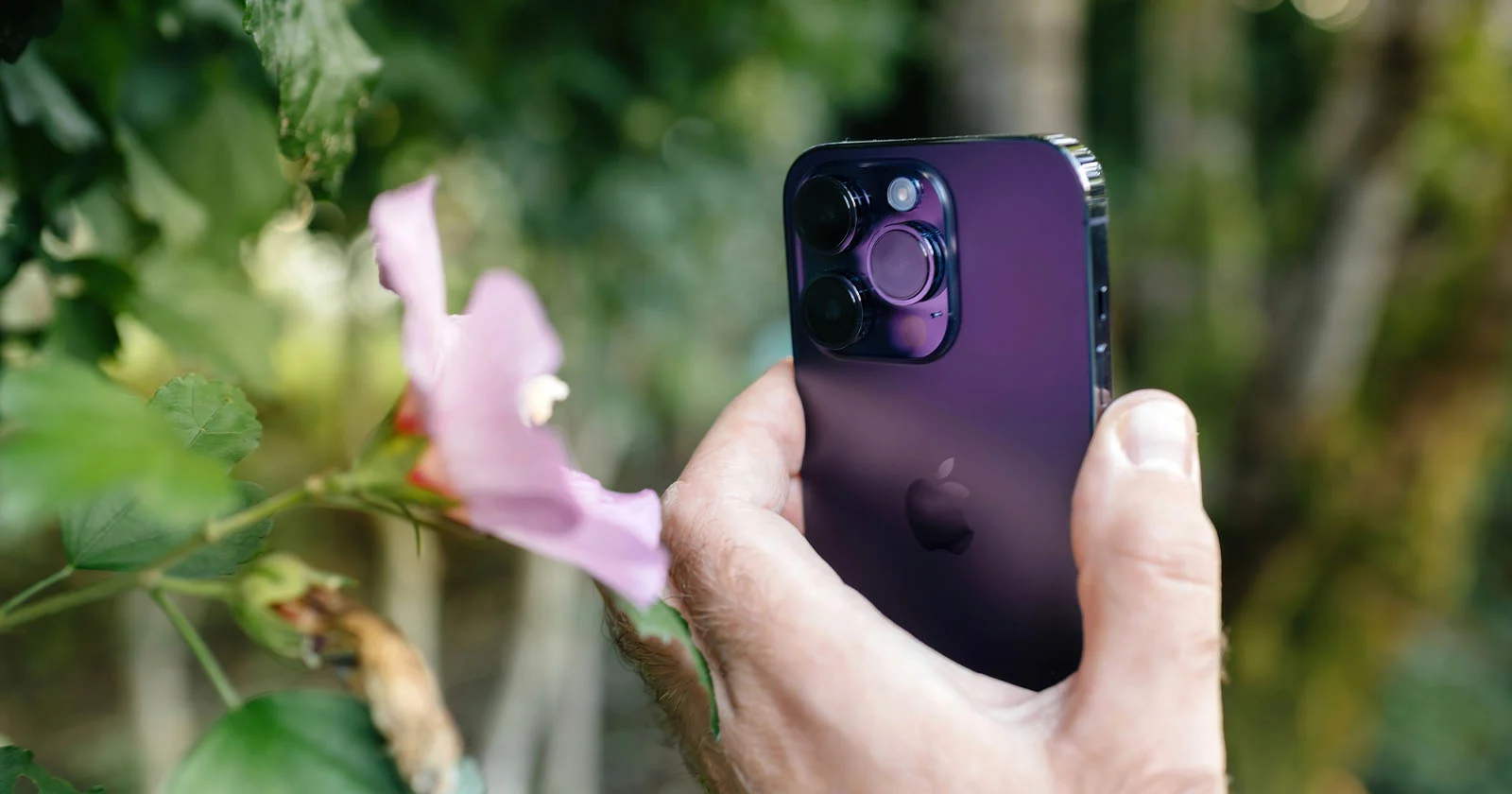 Phụ kiện nam châm có thể làm mờ ảnh iPhone: Đừng xem nhẹ rủi ro với camera