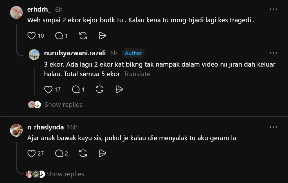 Bila Anjing Liar Menyerang: Amaran Serius Untuk Ibu Bapa di Kawasan Perumahan