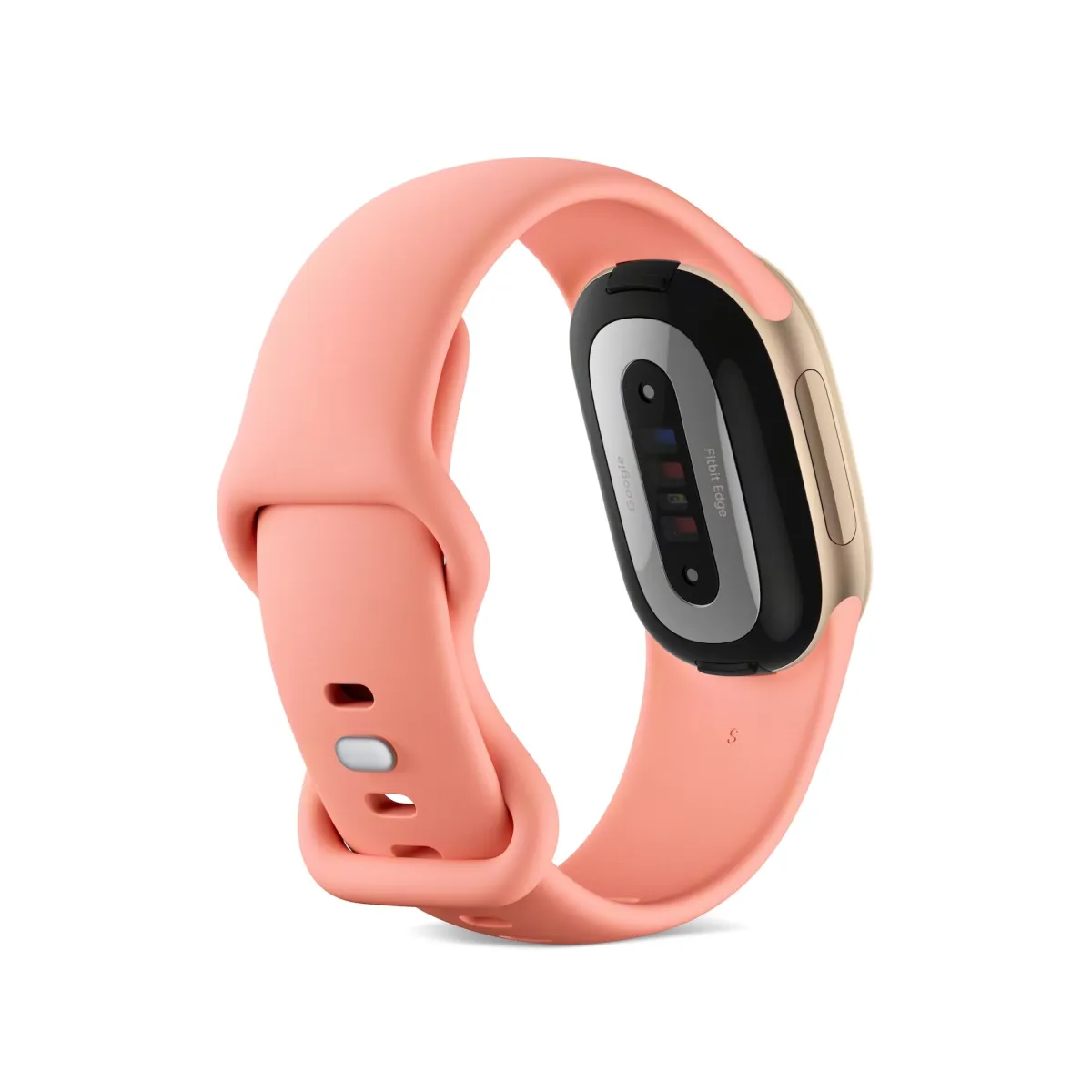 Fitbit Edge so sánh với Charge 6: nâng cấp lớn nhưng đánh đổi không nhỏ