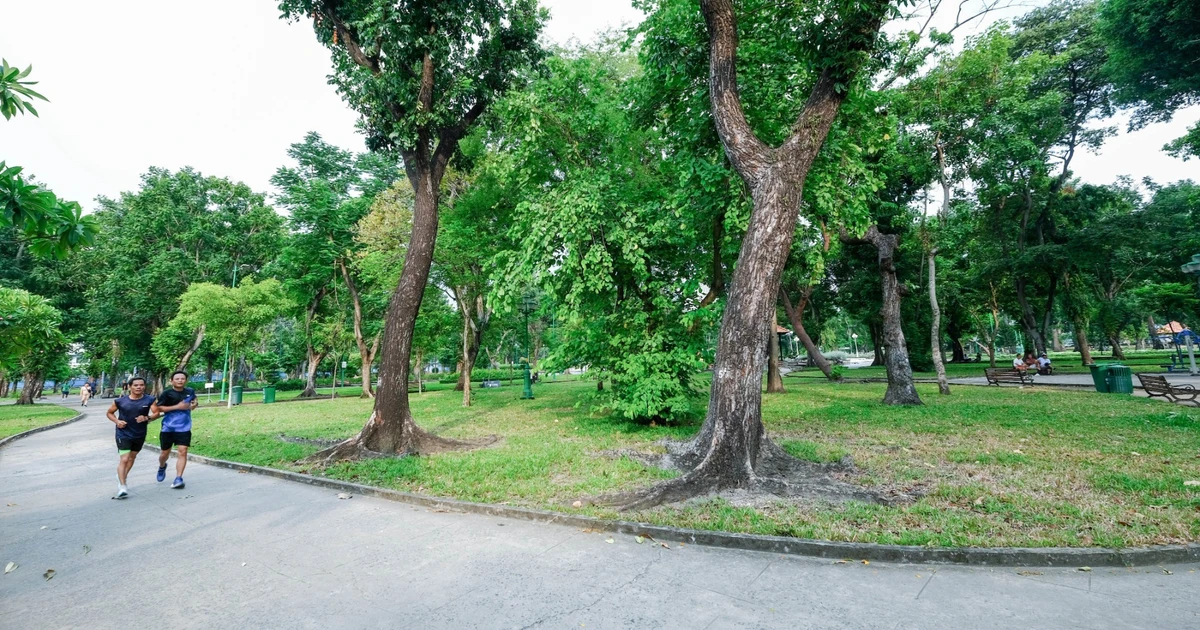 Không gian ngầm: lời giải cho hạ tầng đô thị TPHCM khi đất đai khan hiếm