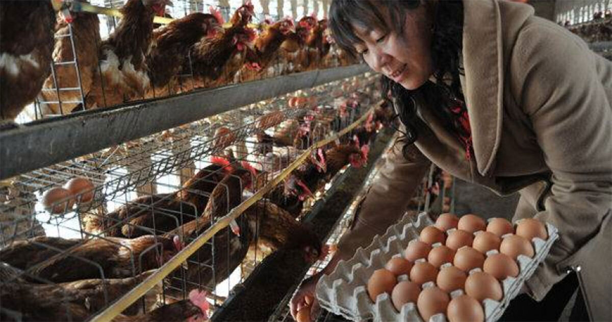 Những thực phẩm gây ngộ độc phổ biến ở trẻ em: Dấu hiệu cảnh báo và cách xử trí khẩn cấp