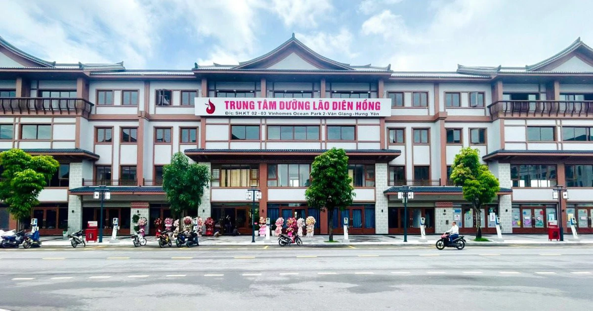 Thể thao trí tuệ: “liều thuốc” giữ sức khỏe toàn diện cho người cao tuổi
