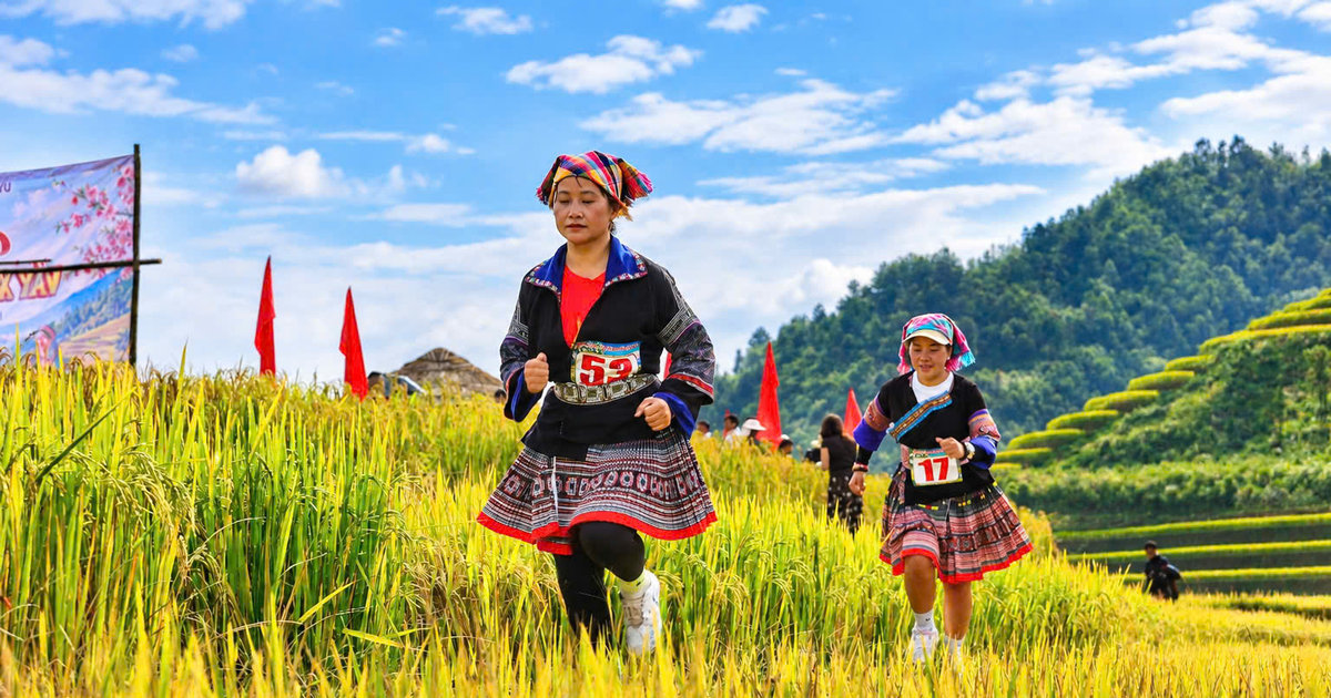 Phong trào chạy bộ phụ nữ vùng cao: từ mùa vàng đến sức khỏe cộng đồng