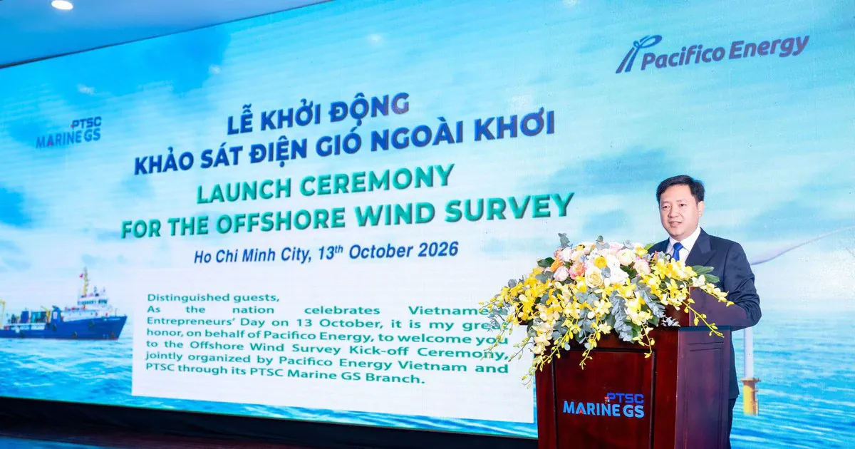 Pacifico Energy khởi động khảo sát điện gió ngoài khơi: cú hích cho chuyển đổi năng lượng sạch