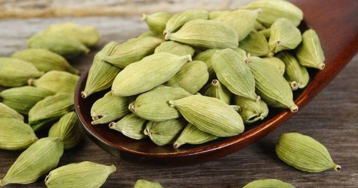 Từ rau dại bị vứt bỏ đến đặc sản triệu đô: Cách chọn nguyên liệu hoang dã chất lượng cao cho bếp nhà