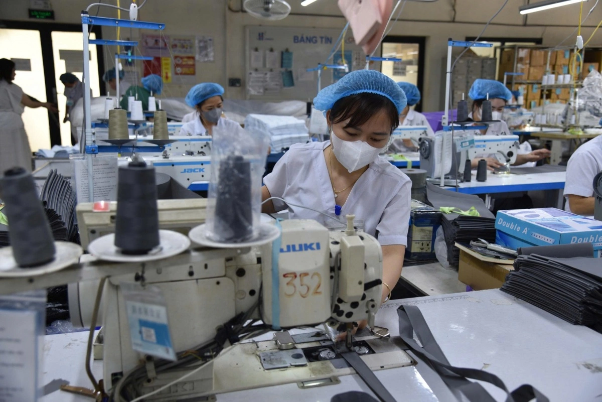 Tại sao sinh viên tốt nghiệp phải học lại để đi làm?