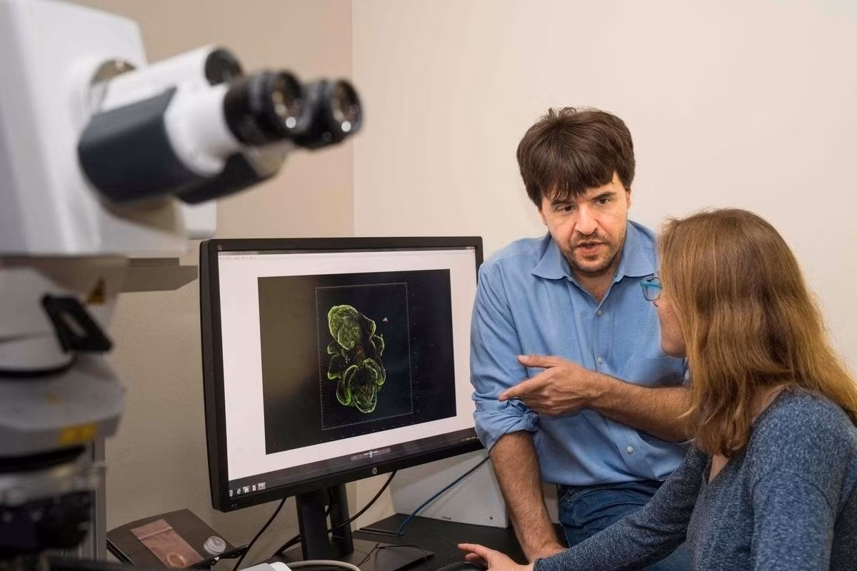 Karl Deisseroth và công nghệ quang di truyền ‘bật tắt’ não bộ