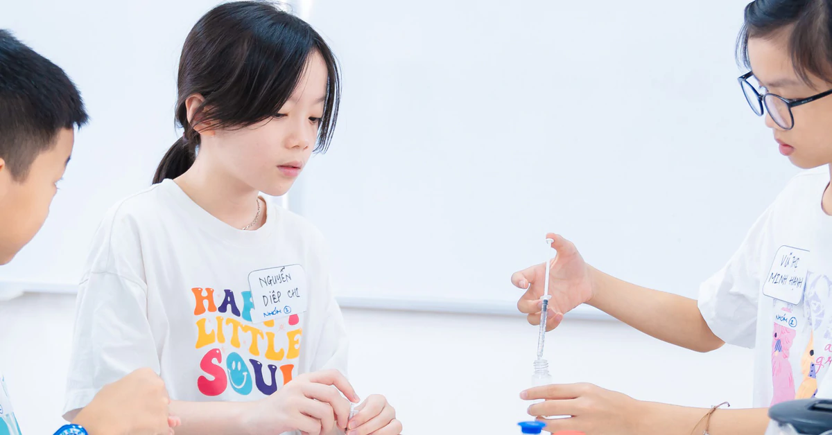 Học bổng 80% và 4,5 tỷ đồng: hướng dẫn chọn đúng cơ hội cho con