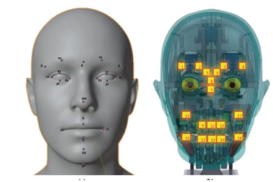 Robot Việt Nam học cách cảm nhận và thể hiện cảm xúc