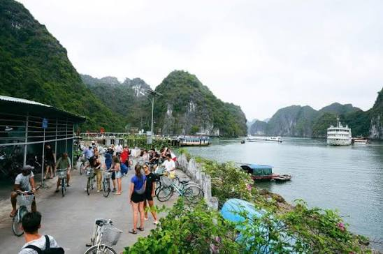 Làng Việt Hải: từ nơi tránh bão đến hình mẫu du lịch xanh cộng đồng