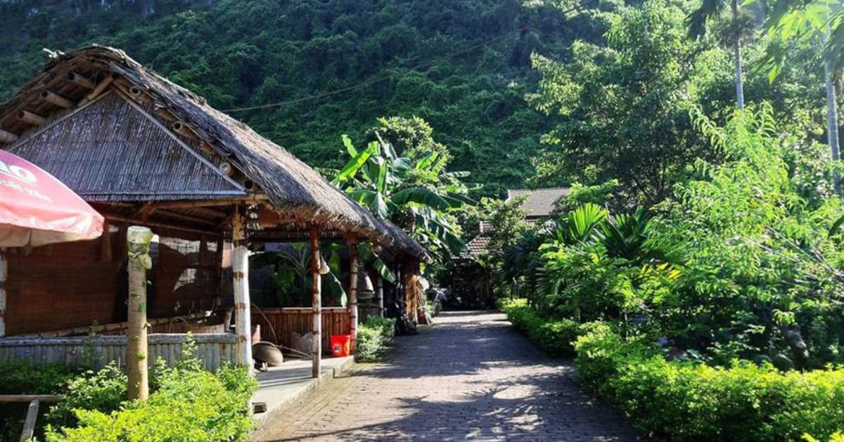 Làng Việt Hải: từ nơi tránh bão đến hình mẫu du lịch xanh cộng đồng