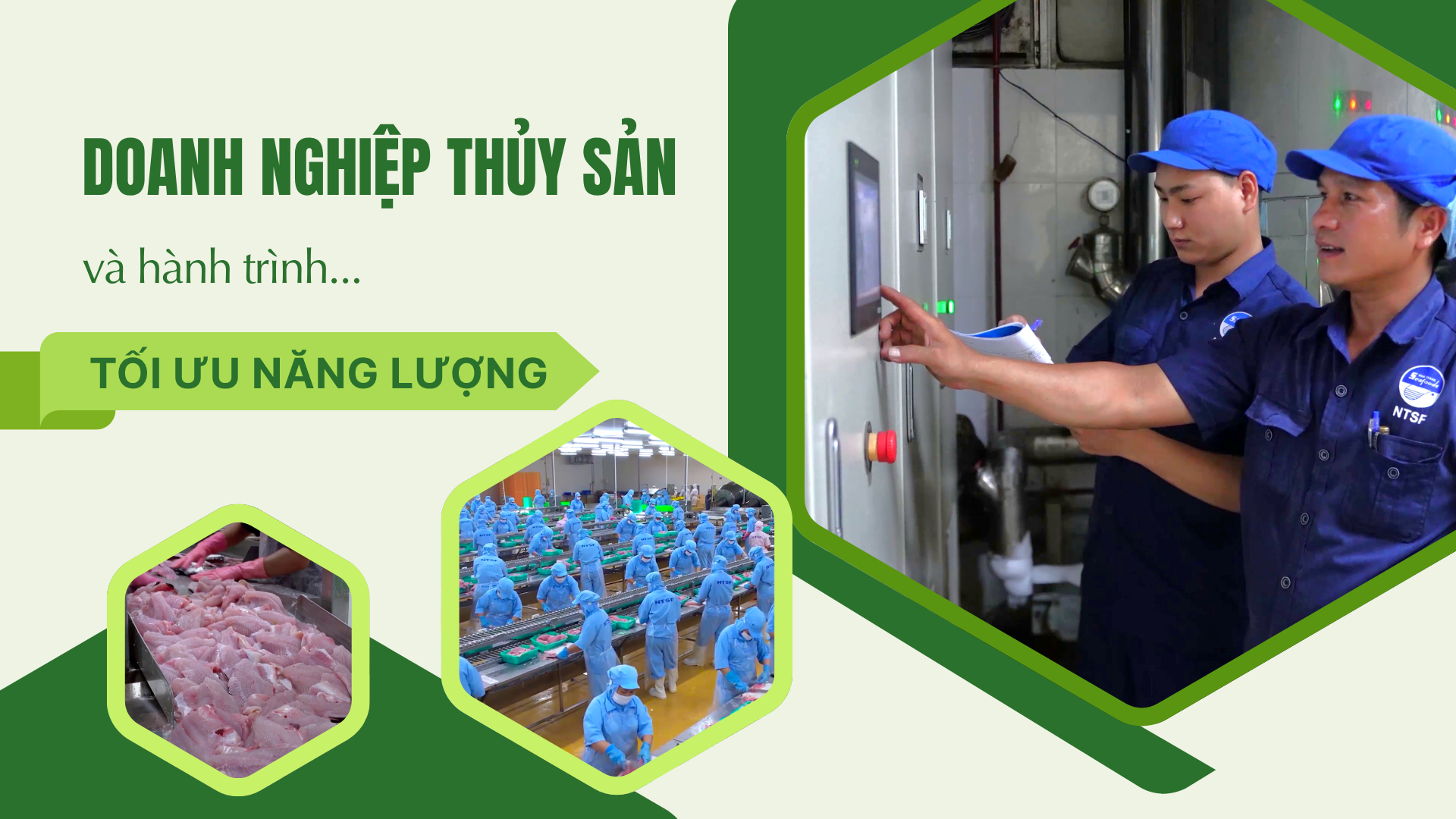 Doanh nghiệp thủy sản tối ưu hóa năng lượng: Từ chi phí cao đến lợi nhuận bền vững