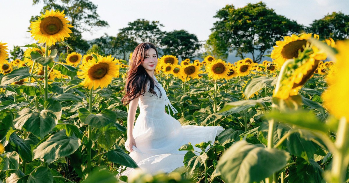 Mùa thu và mùa xuân: Hướng dẫn chụp phong cảnh theo mùa ở Việt Nam