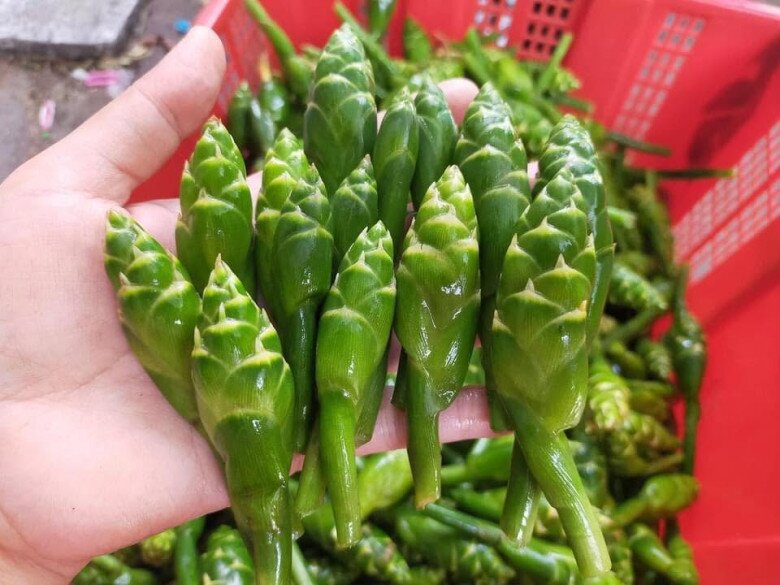 Từ rau dại bỏ đi đến đặc sản cao cấp triệu đô