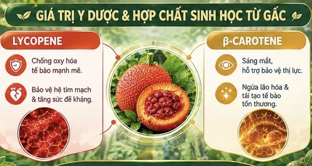 Quả sa kê và gấc: Chọn thực phẩm tim mạch Việt tốt nhất