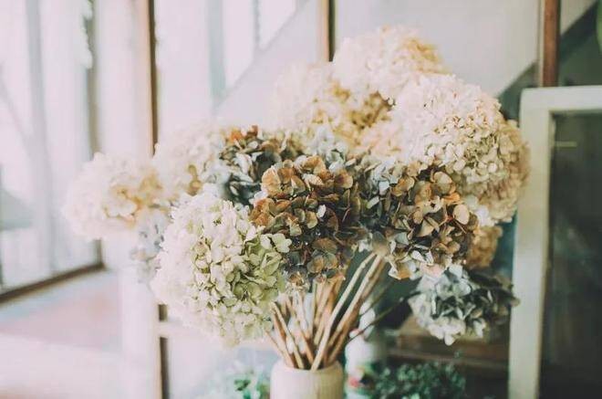 Tha thứ như một hành động chữa lành cảm xúc