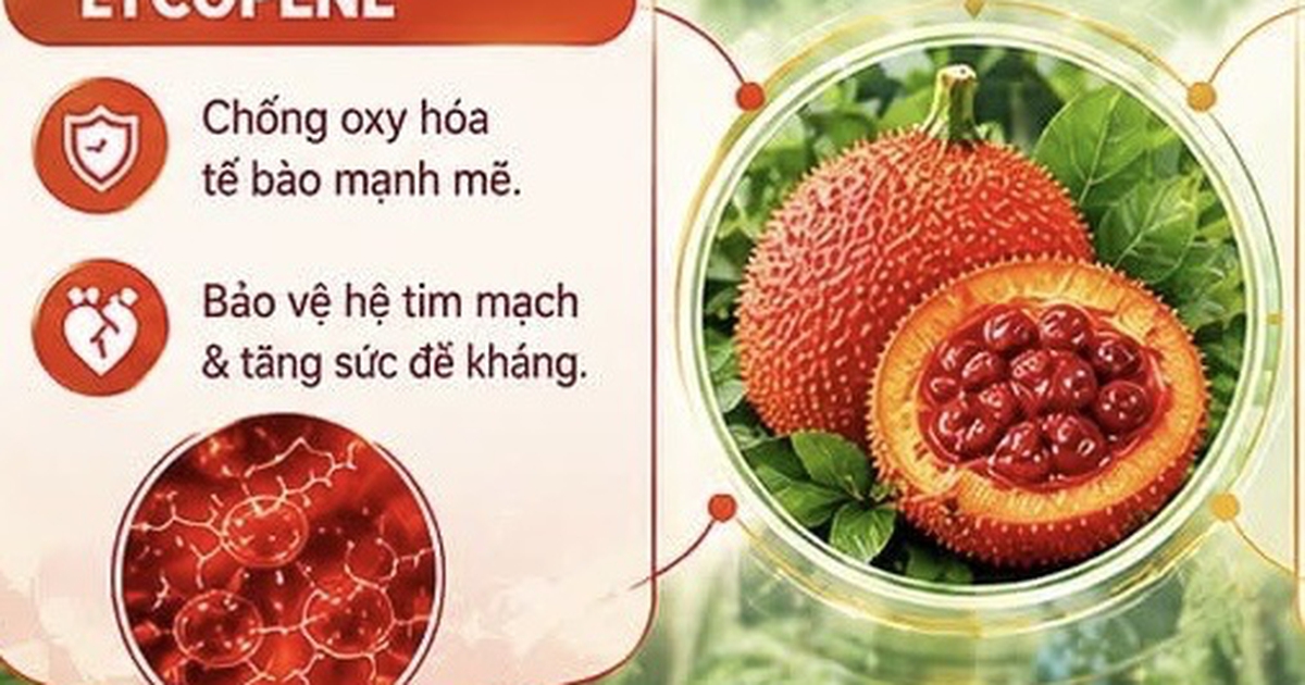 Gấc và bí đỏ: Bộ đôi quả Việt Nam bảo vệ tim mạch